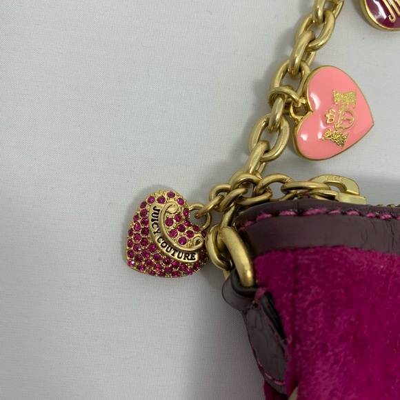 Juicy Couture bag in Grappa - Picture 13 of 14